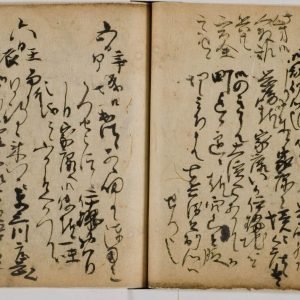 Matsudaira Ietada's journal at Komazawa University is a national treasure, in it he describes Takeda Shingen's Kamari shinobi army