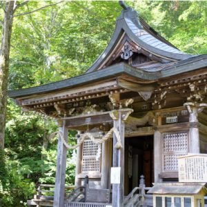 Kuzuryu Shrine - Shrine of the 9 headed dragon