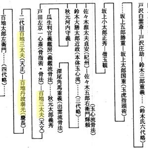 Gyokko Ryu lineage showing the Momochi family headmasters (1)